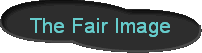 The Fair Image